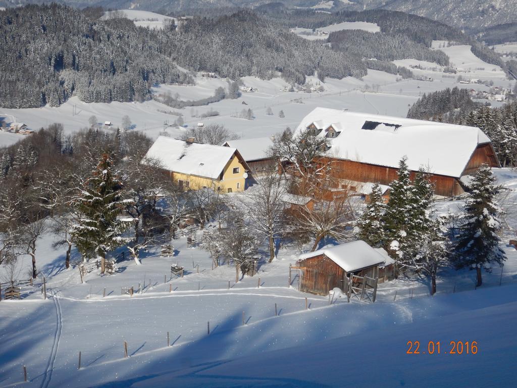 Berghof Thurnergut Шпитал ам Пирн Екстериор снимка
